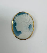 Picture of Authentic Blue Cameo Pendant / Brooch